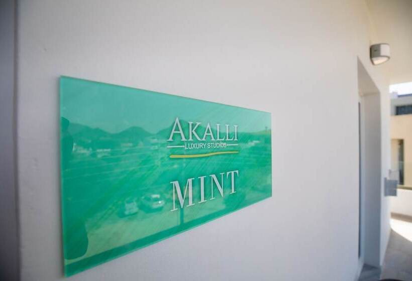 Akalli Luxury Studios