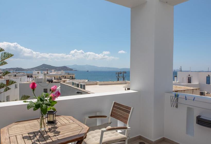 Naxos Lane Center Studios