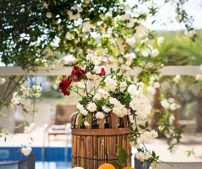 Anesis Family Villas