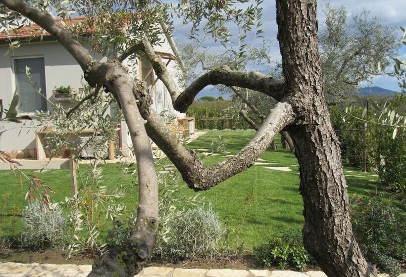 تختخواب و صبحانه Agriturismo Sweet Cottage