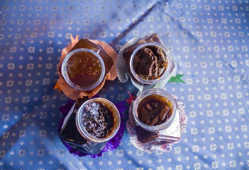 Bed and Breakfast Haveli Kalwara   A Heritage