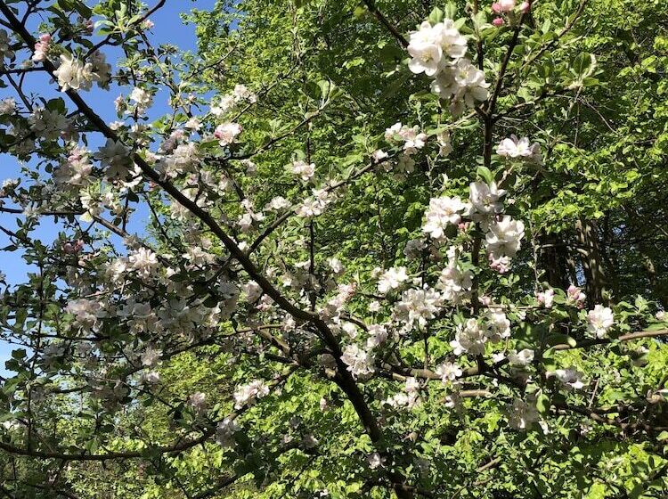 住宿加早餐  Riverside Inn