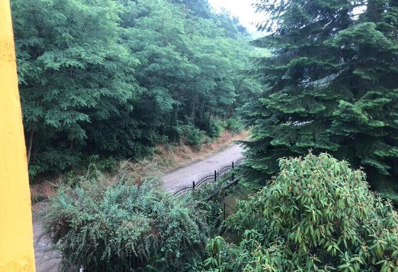 住宿加早餐  Riverside Inn