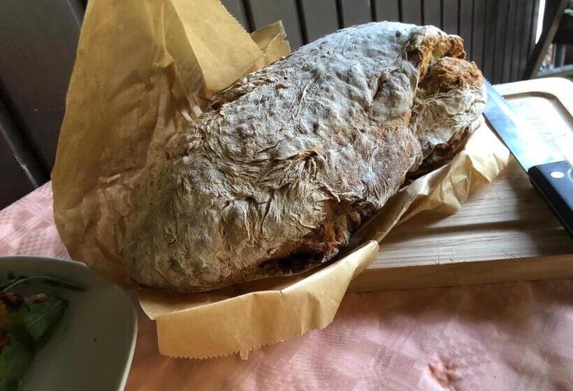 住宿加早餐  Riverside Inn