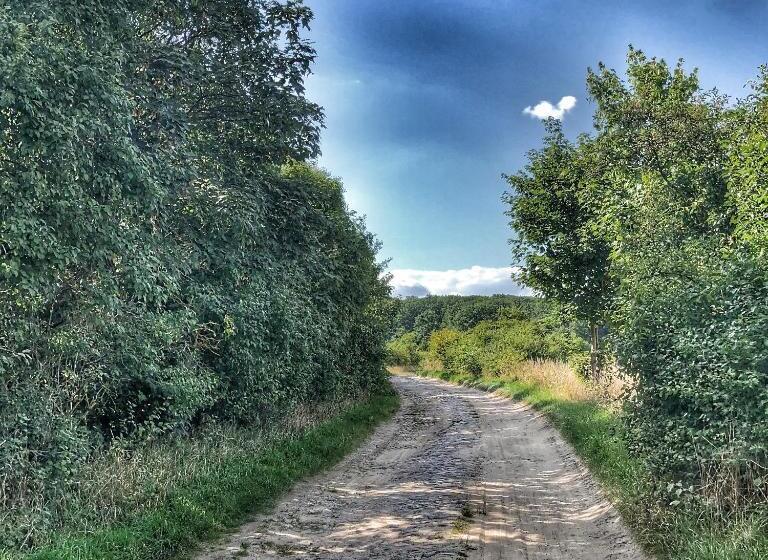 住宿加早餐  Riverside Inn