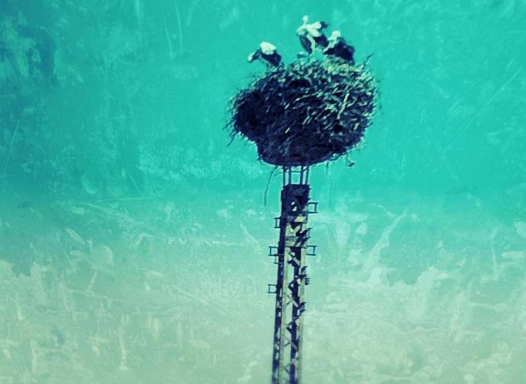 住宿加早餐  Riverside Inn