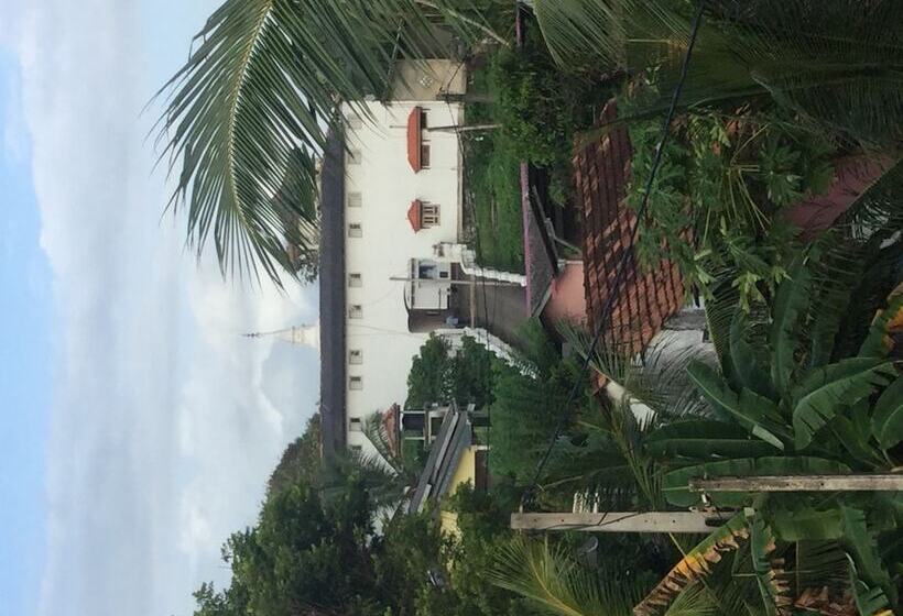 Bed and Breakfast White Baby Beach Rest