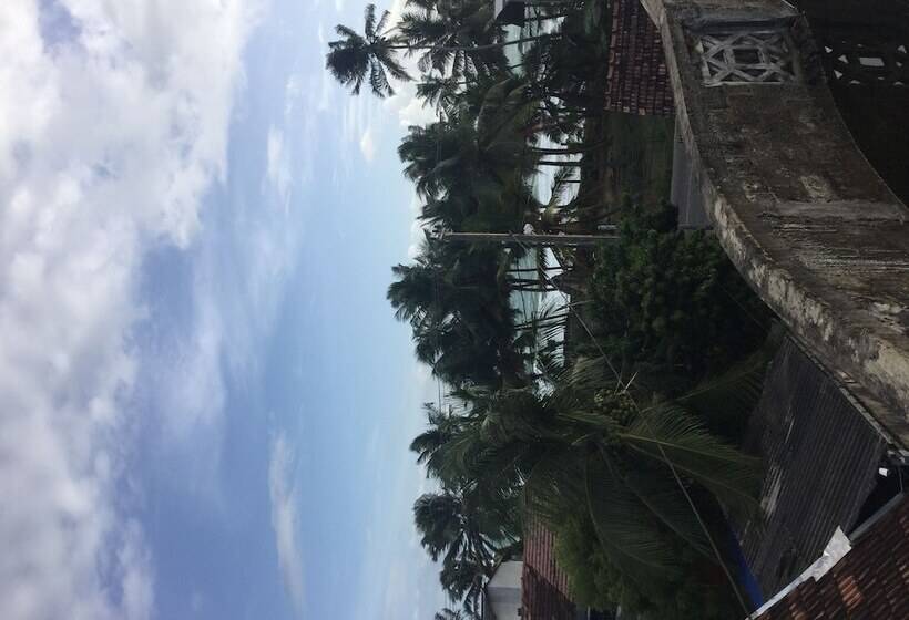 Bed and Breakfast White Baby Beach Rest