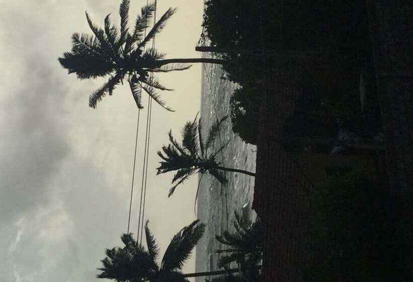 Bed and Breakfast White Baby Beach Rest