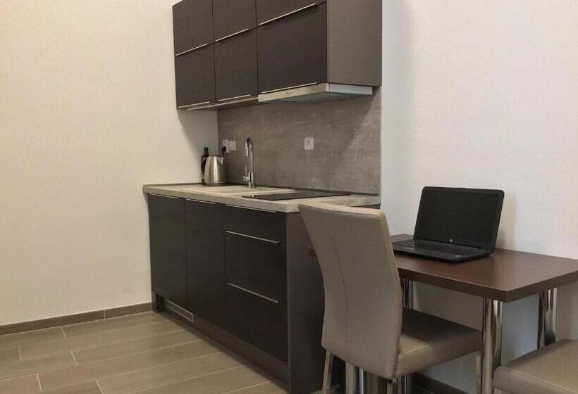 Euro Apartments Lidická 39 Brno