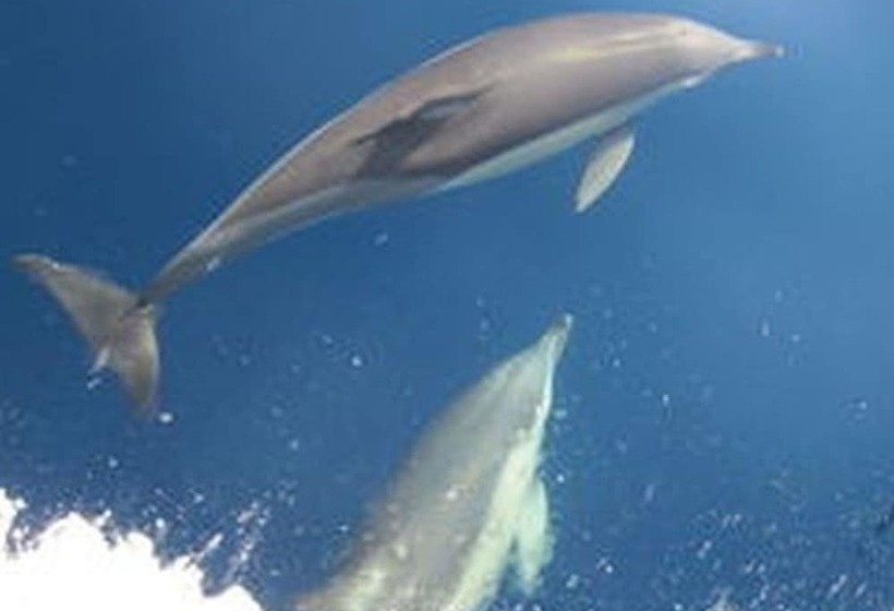 Finikas Garden Beach Resort Nikiti