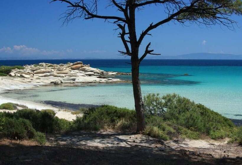 Finikas Garden Beach Resort Nikiti