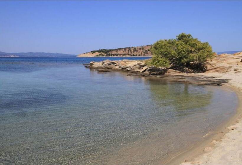 Finikas Garden Beach Resort Nikiti