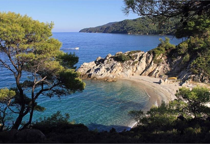 Finikas Garden Beach Resort Nikiti