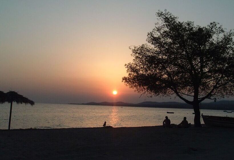 Finikas Garden Beach Resort Nikiti