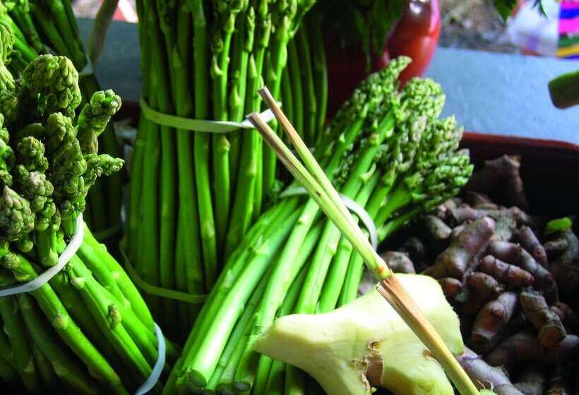 酒店 Am Eichholz Galerie & Art