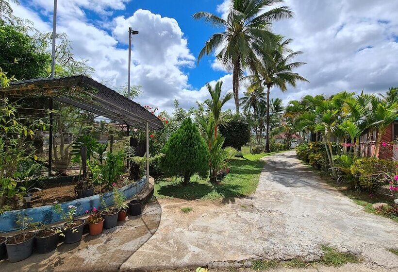 호텔 Blue Light Village