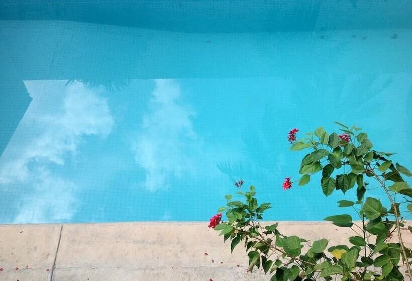 호텔 Hosteria Chata Adults Only