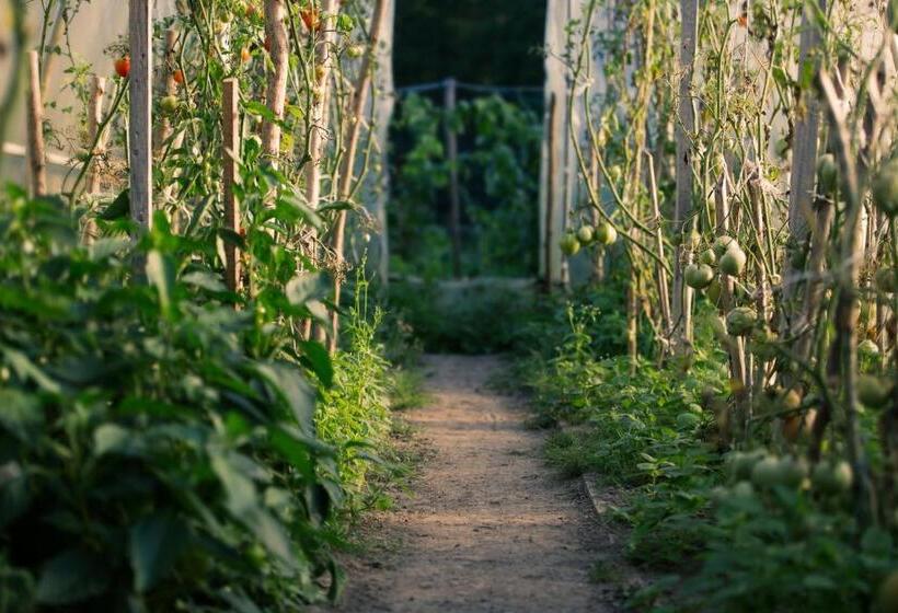 בית מלון כפרי Martiany 21