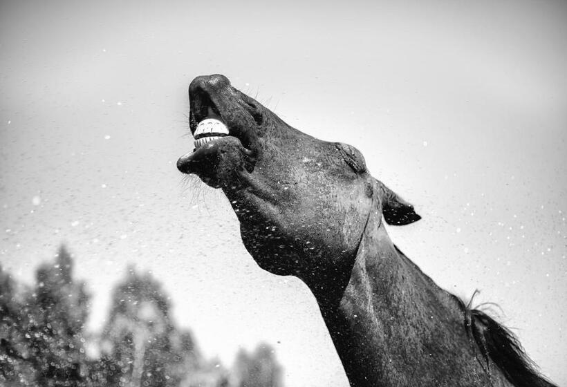 בית מלון כפרי Martiany 21