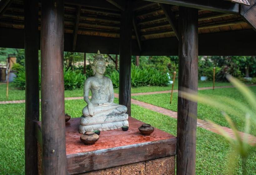 酒店 Muang La Lodge