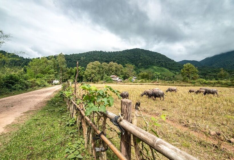 酒店 Muang La Lodge