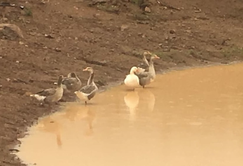 فندق Rancho Escondido Casa Goyri