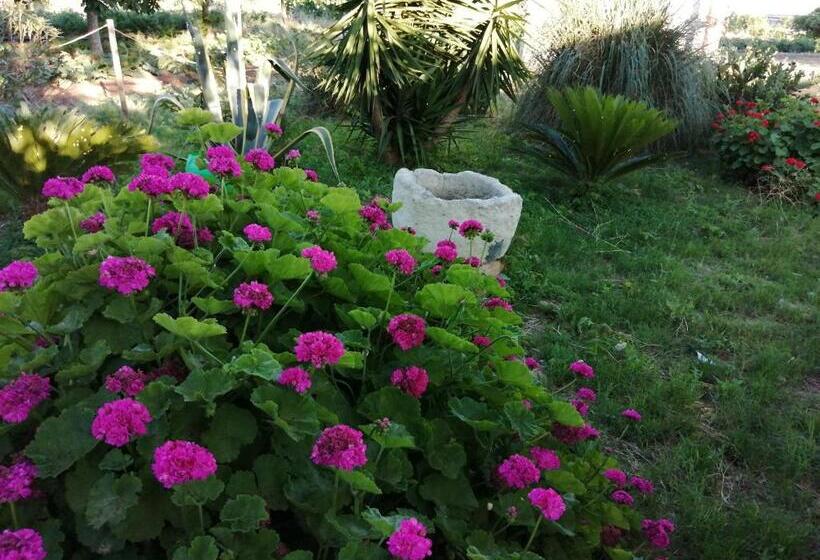 فندق ريفى Agriturismo Tenuta Perruzzi