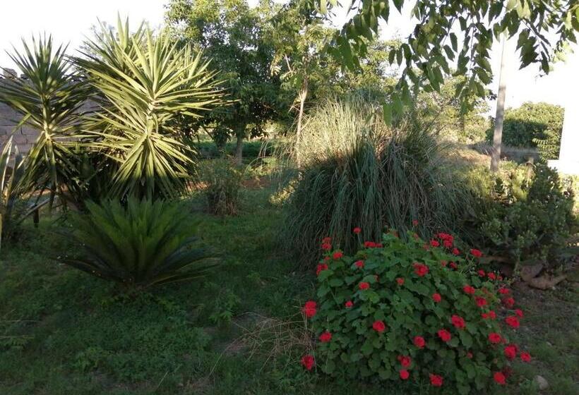 فندق ريفى Agriturismo Tenuta Perruzzi