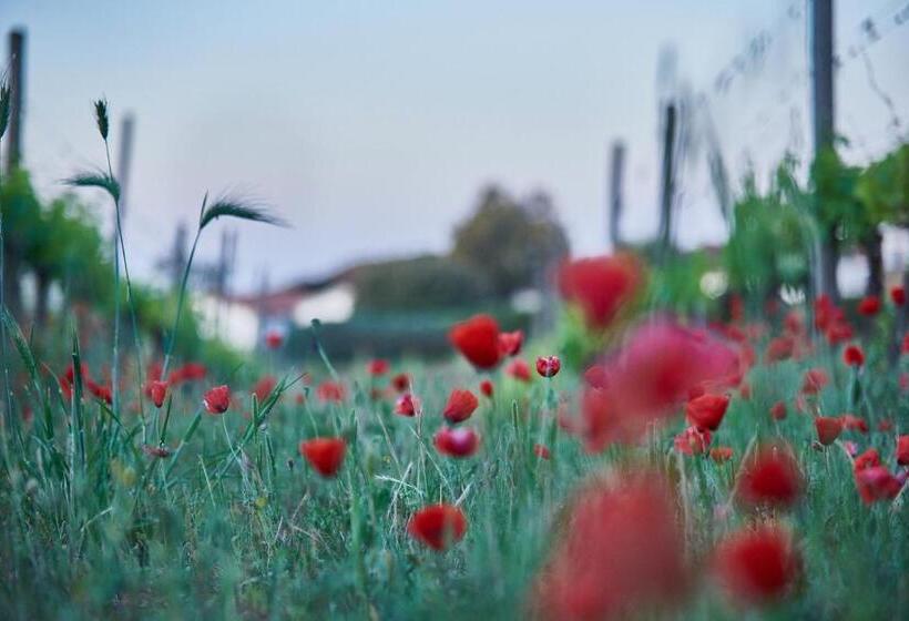 هتل روستایی Agriturismo Tesorino