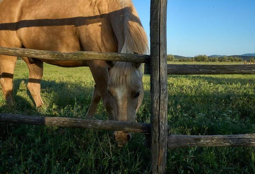 هتل روستایی Agriturismo Tesorino