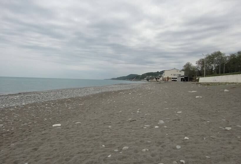 پانسیون Guest House Mishlen