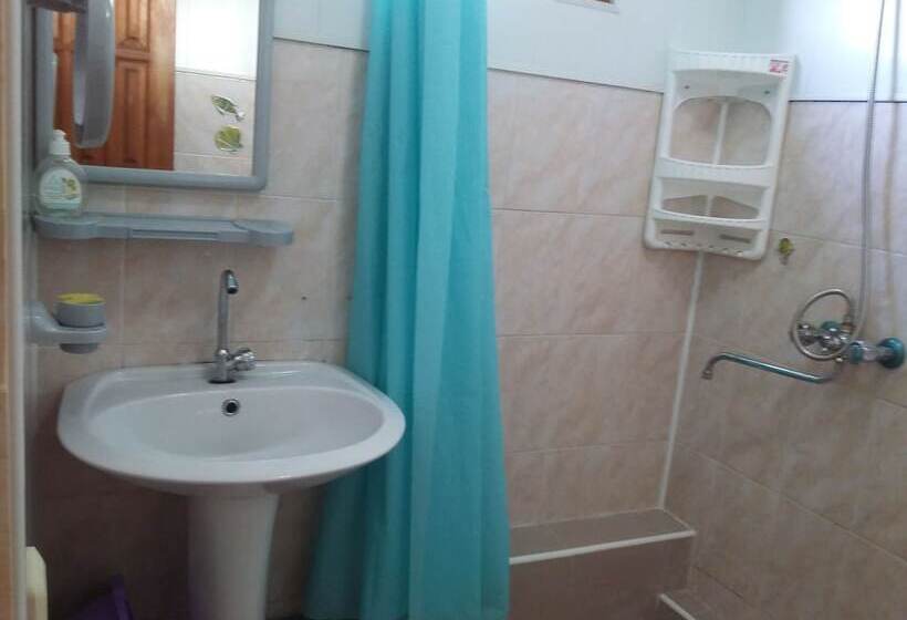 پانسیون Guest House Mishlen