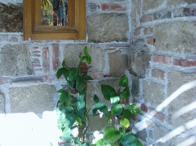 Pensjonat Sa Domu E Crakeras