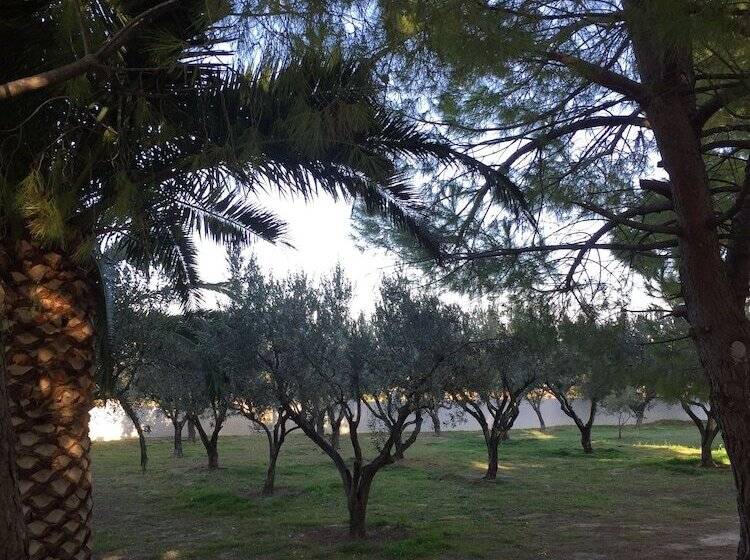 Phoenix Beachside Condos