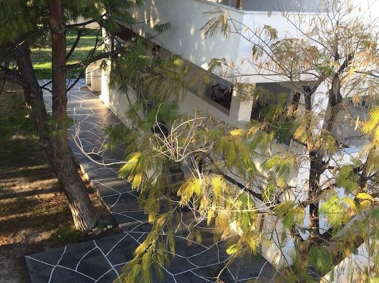 Phoenix Beachside Condos