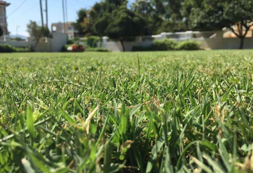 Phoenix Beachside Condos