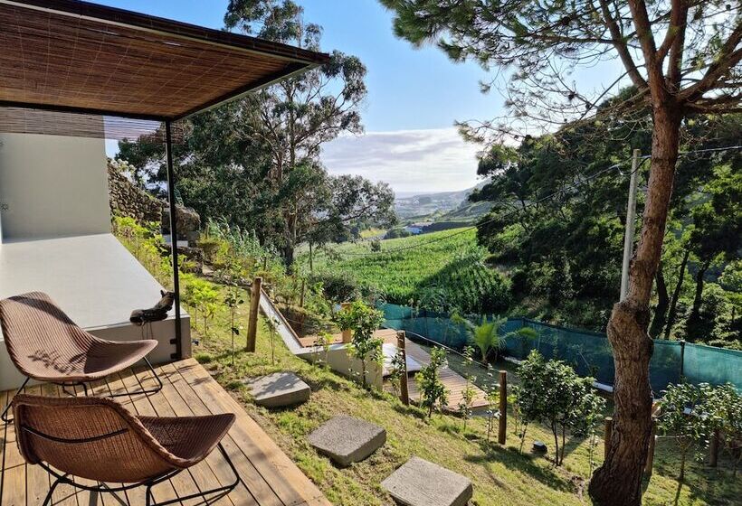 Place Of Moments Natur