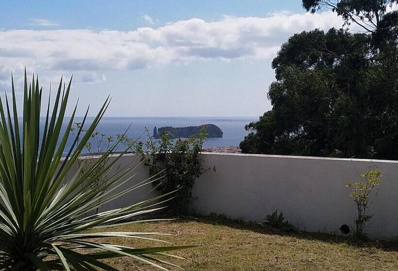 Place Of Moments Natur