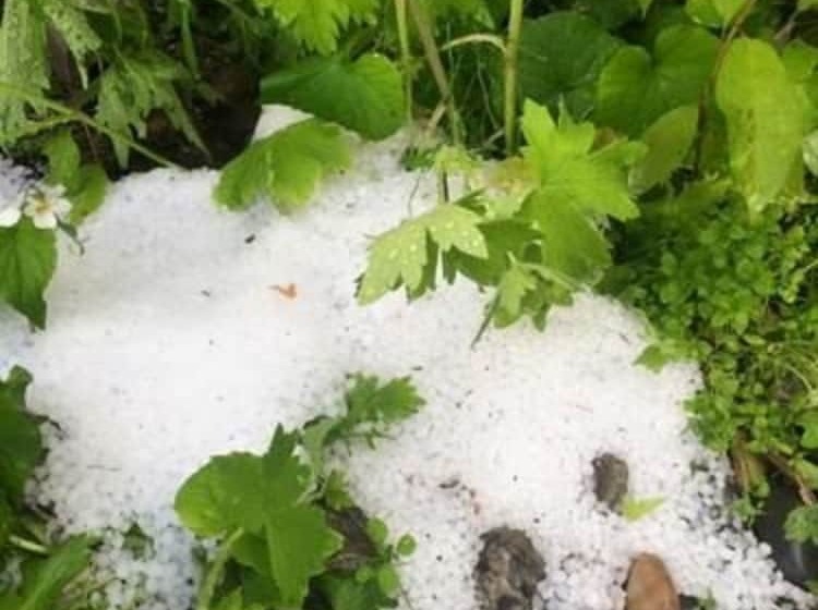 فندق 7 Gables Inn & Suites