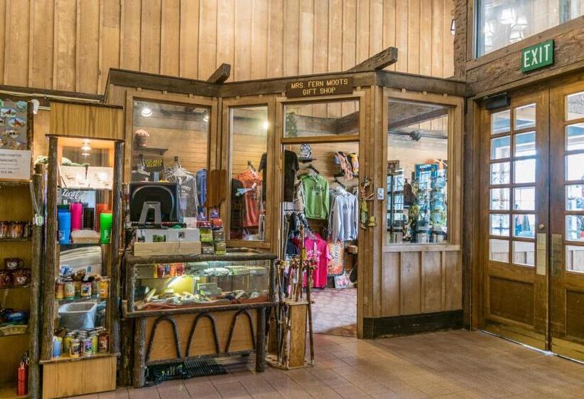 酒店 Abe Martin Lodge & Cabins