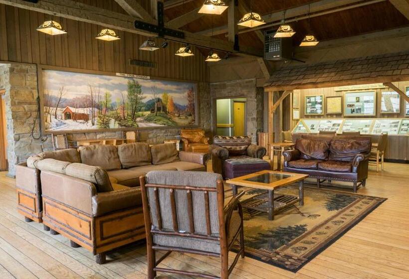 فندق Abe Martin Lodge & Cabins