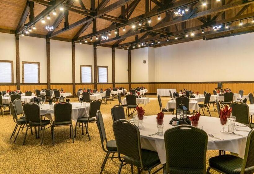 酒店 Abe Martin Lodge & Cabins