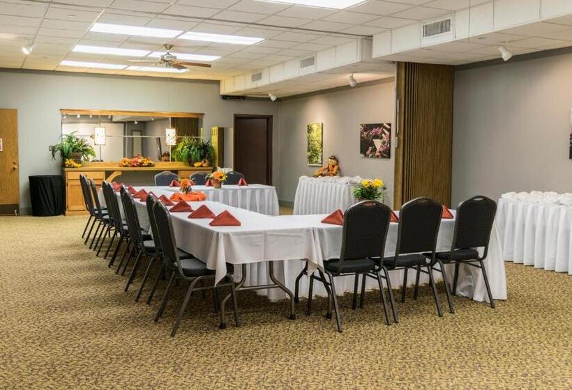 酒店 Abe Martin Lodge & Cabins