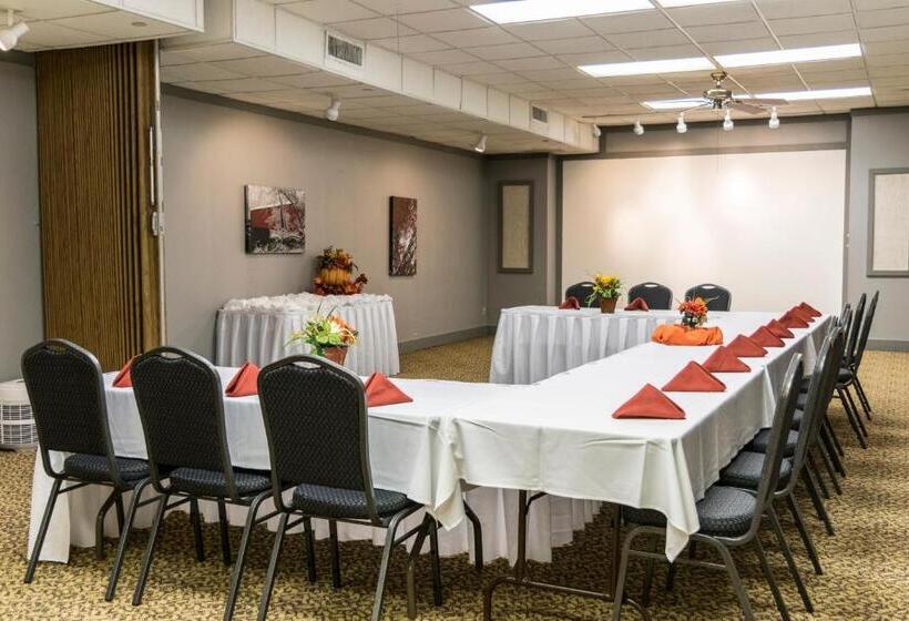 酒店 Abe Martin Lodge & Cabins