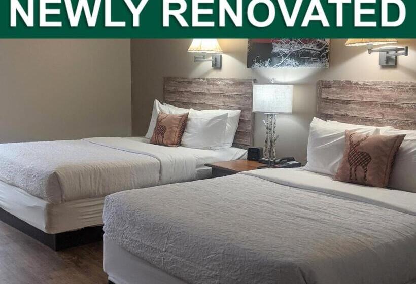 酒店 Abe Martin Lodge & Cabins