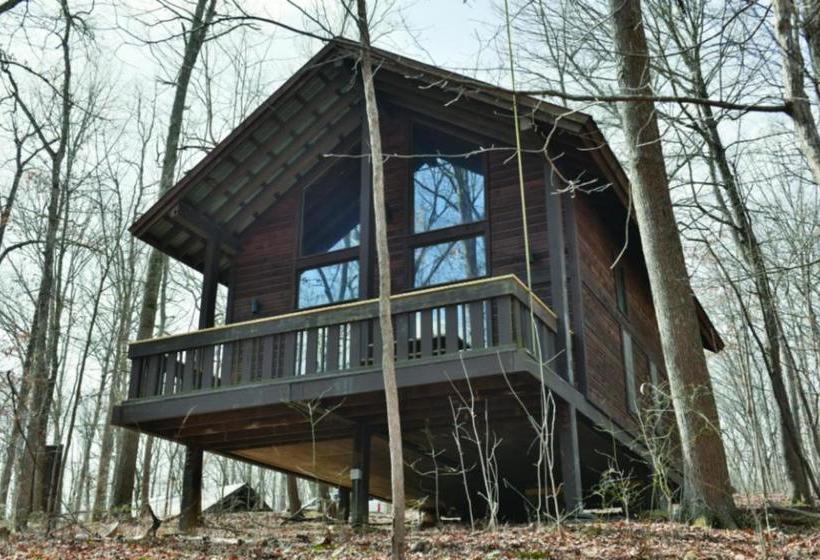 酒店 Abe Martin Lodge & Cabins