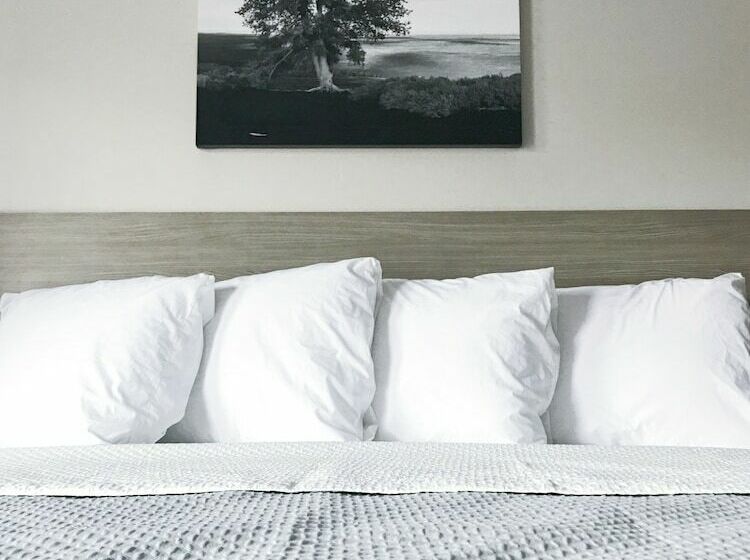 فندق Airport Inn