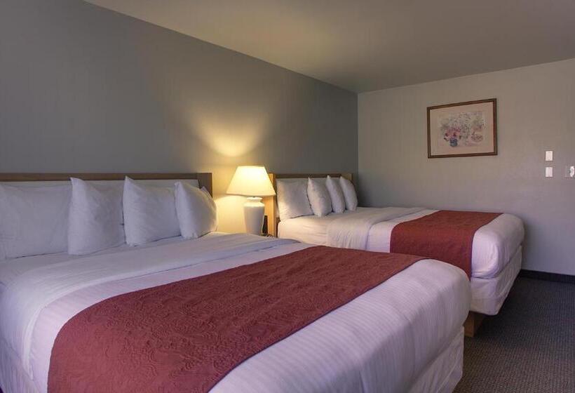 Отель Aladdin Inn And Suites