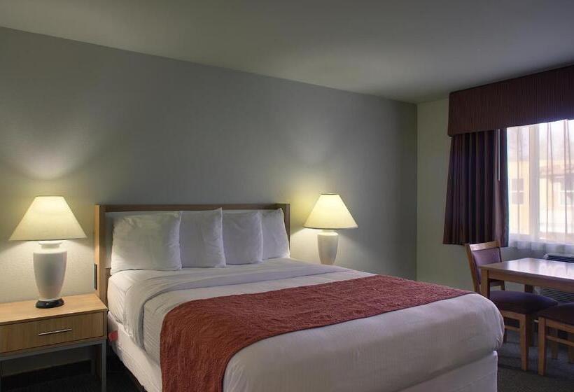 Отель Aladdin Inn And Suites